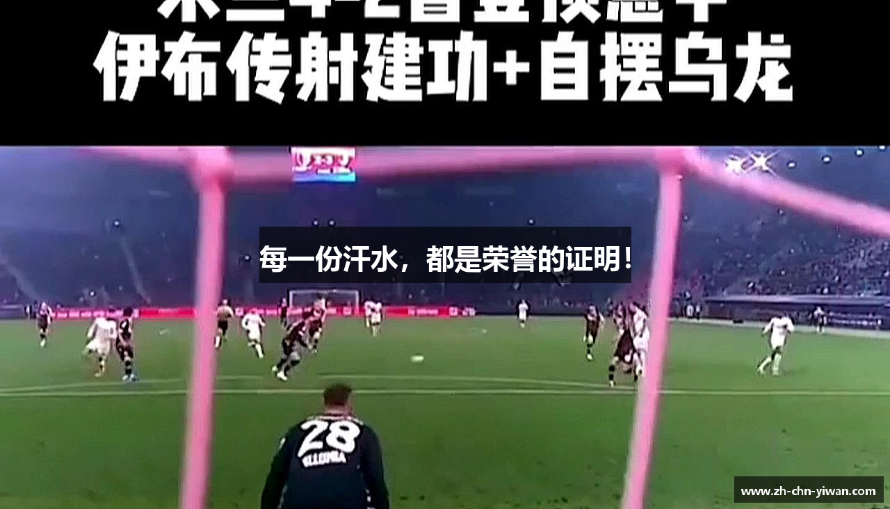 每一份汗水，都是荣誉的证明！